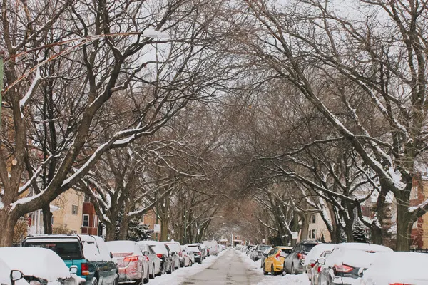Tree-lined streets that reflect Ravenswood’s charm